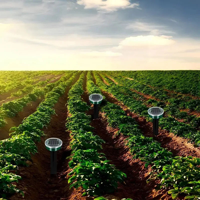 Rows of green plants in a field with solar ultrasonic pest repellers installed along the rows under a bright sky.