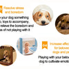 Durable Rope Ball Dog Toy for Chewing and Interactive Play
