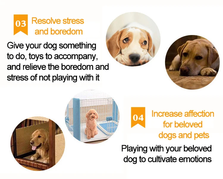 Durable Rope Ball Dog Toy for Chewing and Interactive Play