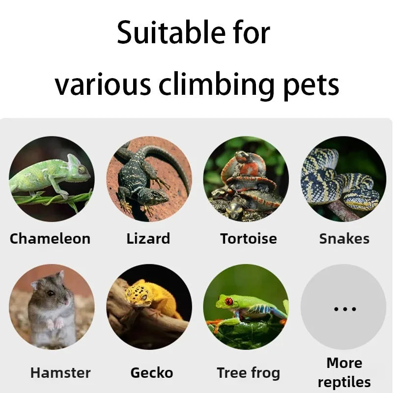 Reptile Terrarium with Front Opening Mesh Door