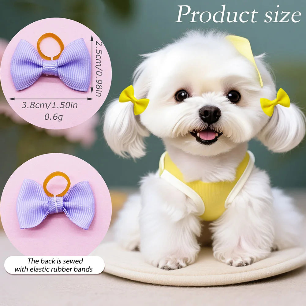 A white dog wearing a yellow collar and bow, with additional colorful handmade dog bow knots shown nearby.