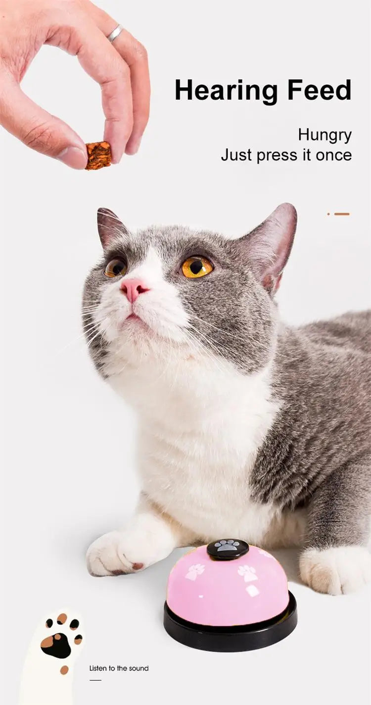 A cat looks at a pink electronic device used for hearing feed training.