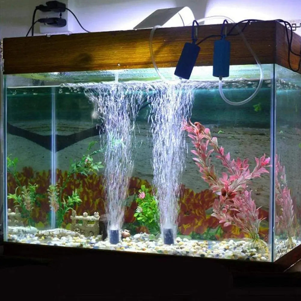 Aquarium en verre avec pompe à air et pierres qui créent un effet cascade sur un paysage végétal.