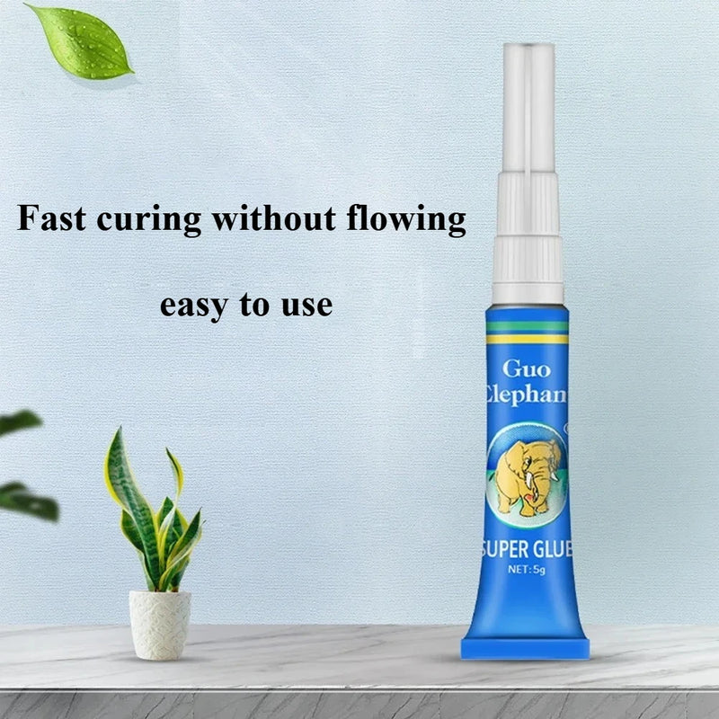 Colle à mousse pour aquarium et aquascaping