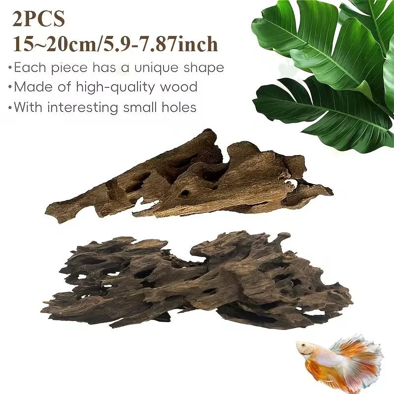 Two pieces of natural shrimp wood aquarium driftwood with small holes