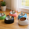 Ergonomic Elevated Cat Bowl with Inclined Stainless Steel Design