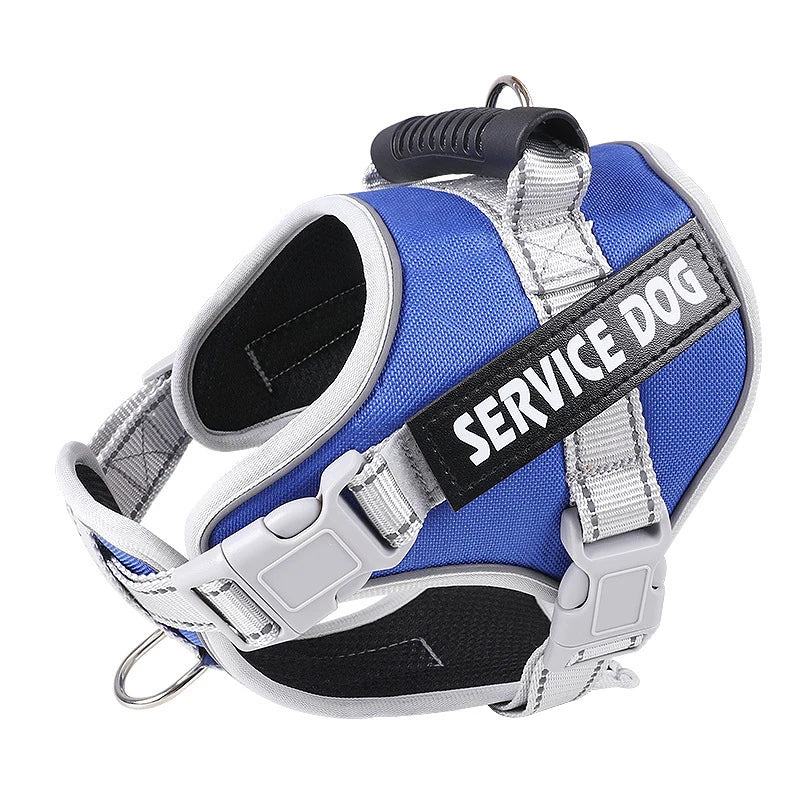 Blue and silver harness for a dog with the words SERVICE DOG printed on the strap