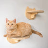 An orange tabby cat is resting on a wooden wall-mounted climbing hammock.