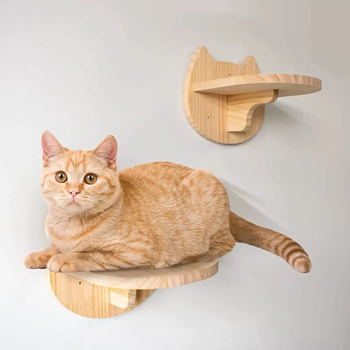 An orange tabby cat is resting on a wooden wall-mounted climbing hammock.