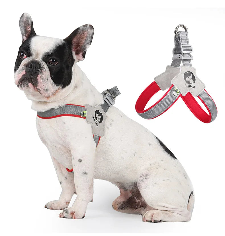A white and black bully breed dog wearing a reflective mesh pet harness for walking.