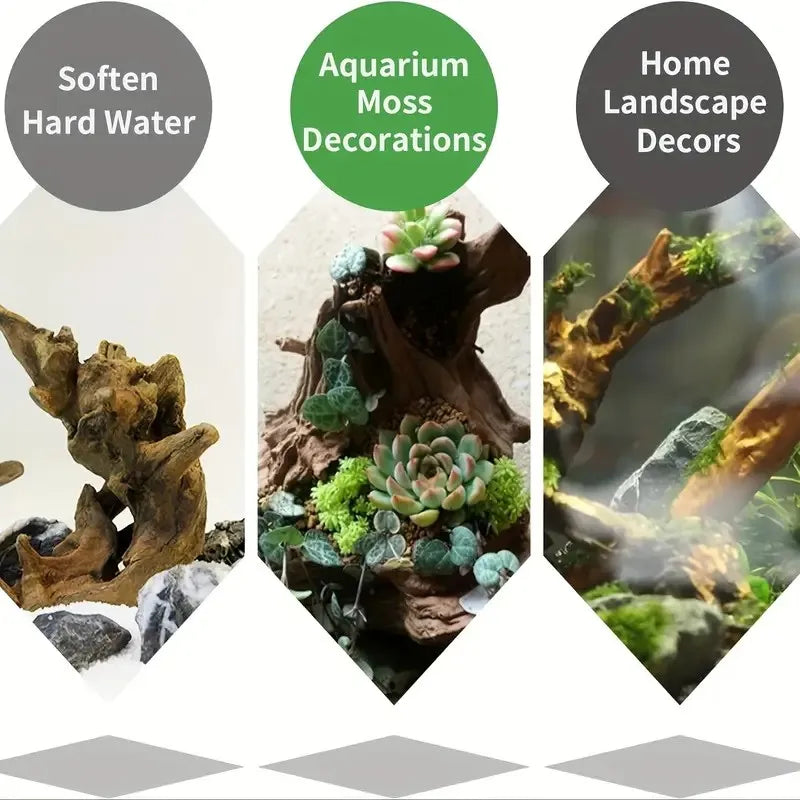 Three types of natural driftwood and moss decorations for aquarium and home landscapes