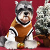 Classic V-Neck Knit Dog Sweater for Fall & Winter