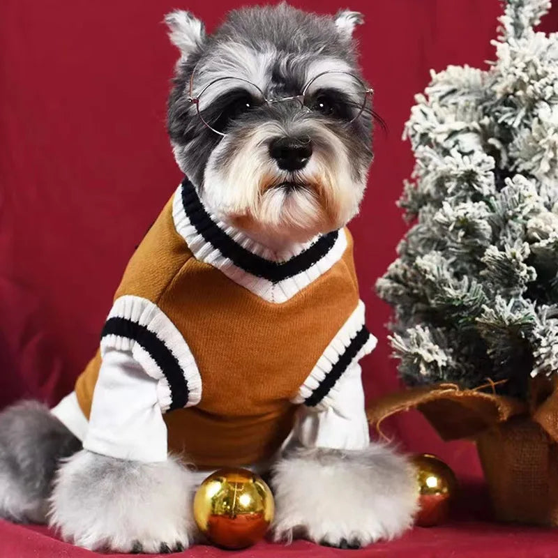 Classic V-Neck Knit Dog Sweater for Fall & Winter