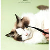 A white and brown cat is shown sleeping comfortably while being gently stroked by a hand with a black brush.