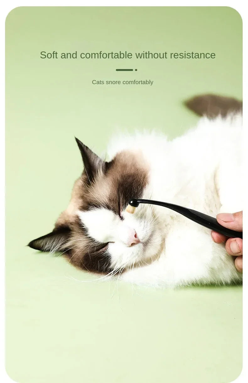 A white and brown cat is shown sleeping comfortably while being gently stroked by a hand with a black brush.