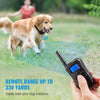Rechargeable Waterproof Dog Training Collar with Remote