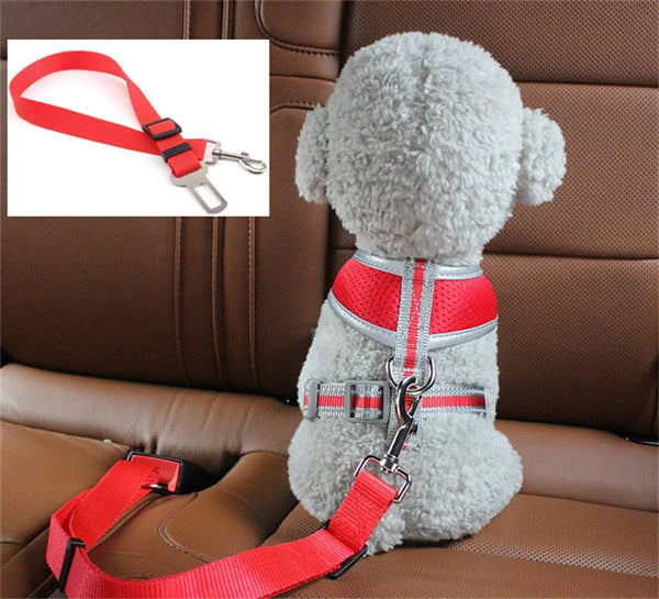 Ceinture de sécurité ajustable pour animaux en voiture