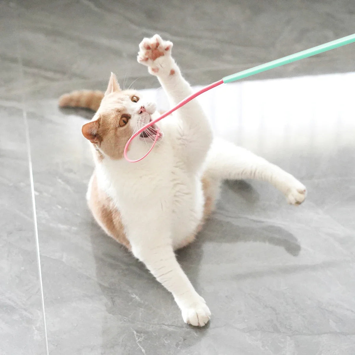 A fluffy orange and white cat is playing with a pink wand toy that has a green handle.