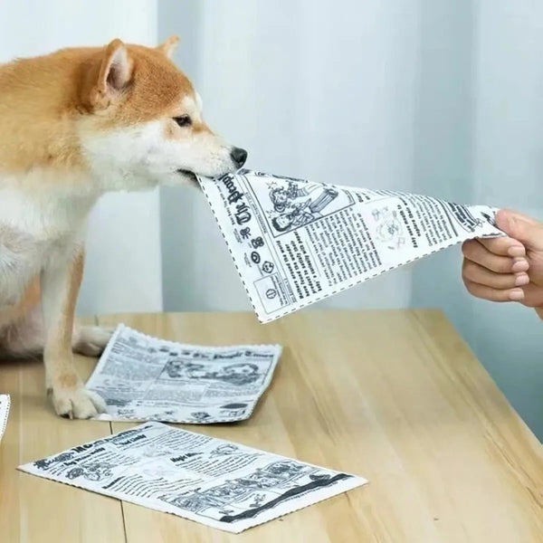 A dog is interacting with a tear-resistant squeaky newspaper toy for dogs on a wooden table.
