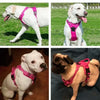 Reflektierendes, verstellbares Hundegeschirr mit Weste