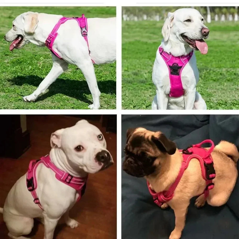 Reflektierendes, verstellbares Hundegeschirr mit Weste