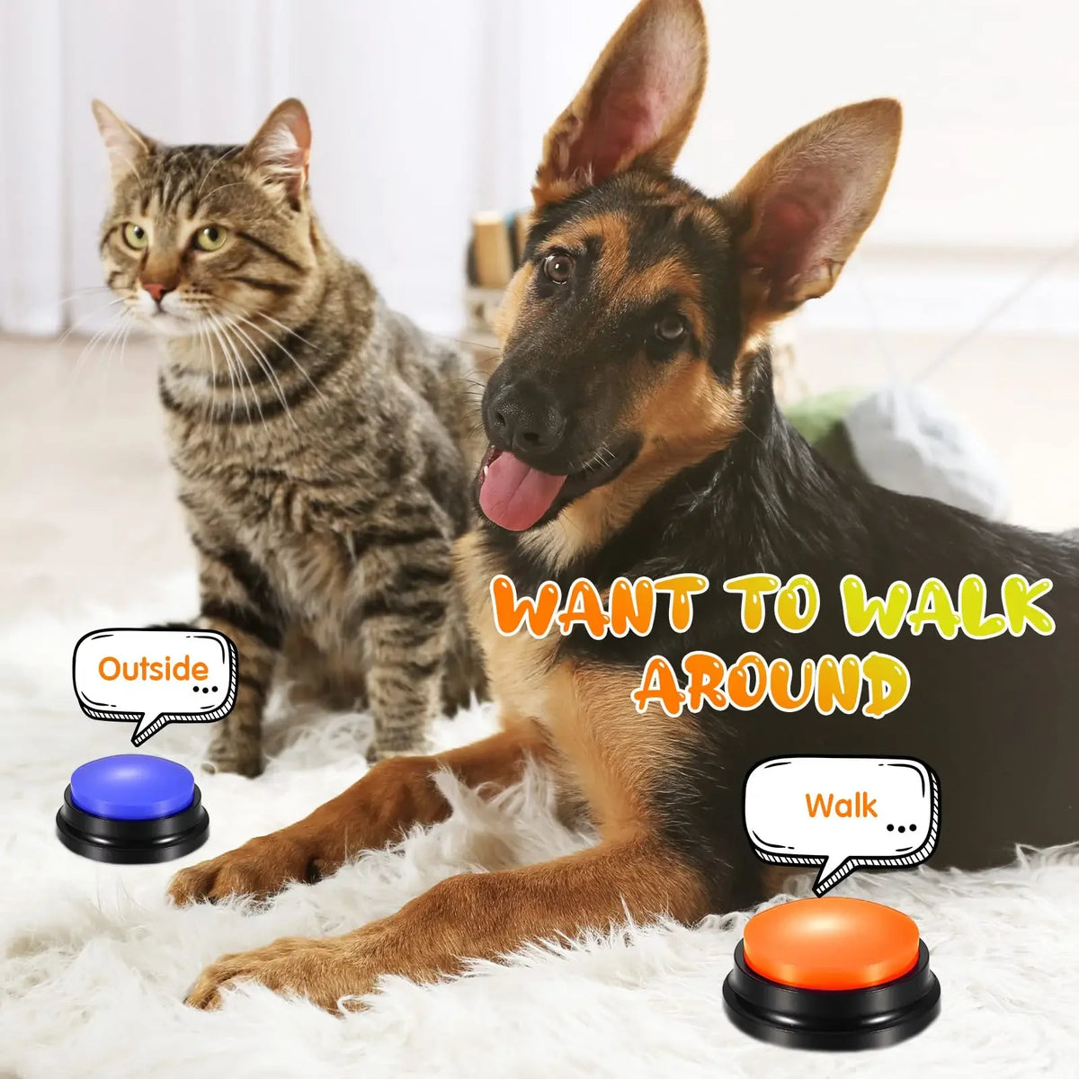 Recordable Talking Buttons for Dog Communication Training