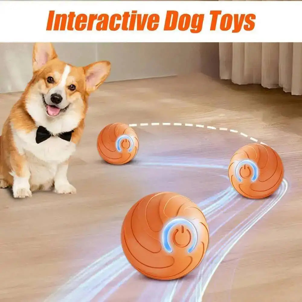 A happy dog looks at an orange interactive pet ball with blue accents on a wooden floor.