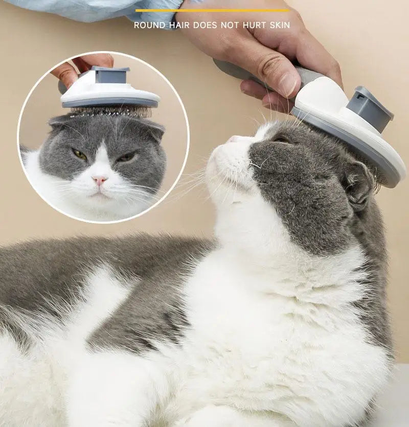 A cat is being groomed with a self-cleaning pet grooming brush, demonstrating that round hair does not hurt skin.