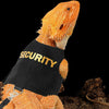 Oranger Gecko mit schwarzem Sicherheitsgurt und Leine.
