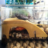 Aquatic Reptile Climbing Platform with Suction Cups