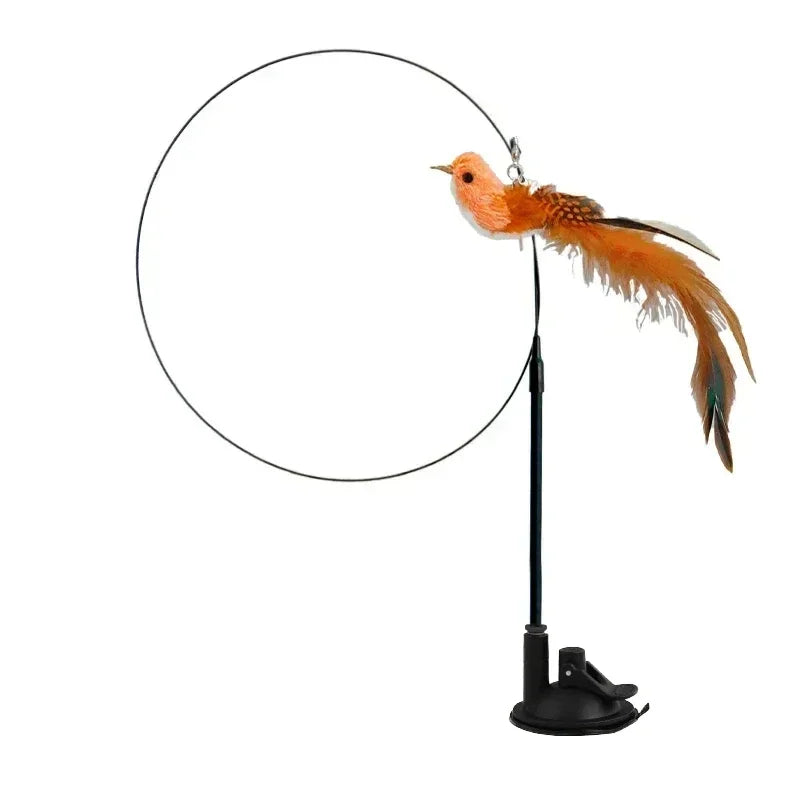 Jouet Interactif pour Chat en Forme de Paon avec Clochette