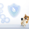 Dog Paw Protection Pads with Anti-Slip Adhesive