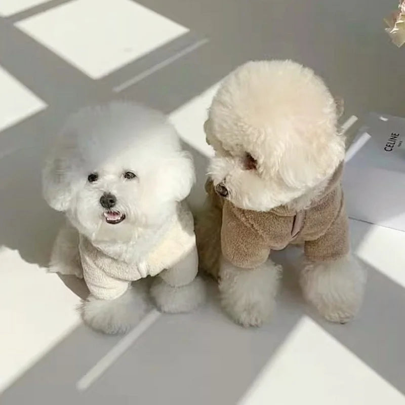 Un chien blanc et duveteux portant un sweat à capuche en polaire beige, assis sur une surface blanche.