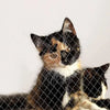 Cat Window Net Guard for Balcony Safety
