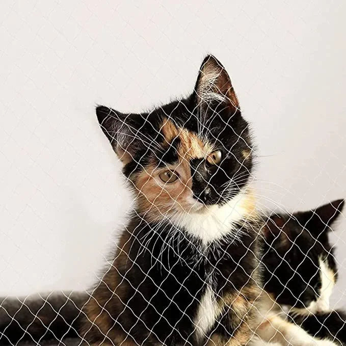 A tabby and black cat looking through a wire mesh window safety net.
