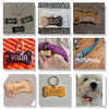 Personalized Stainless Steel Pet ID Tag