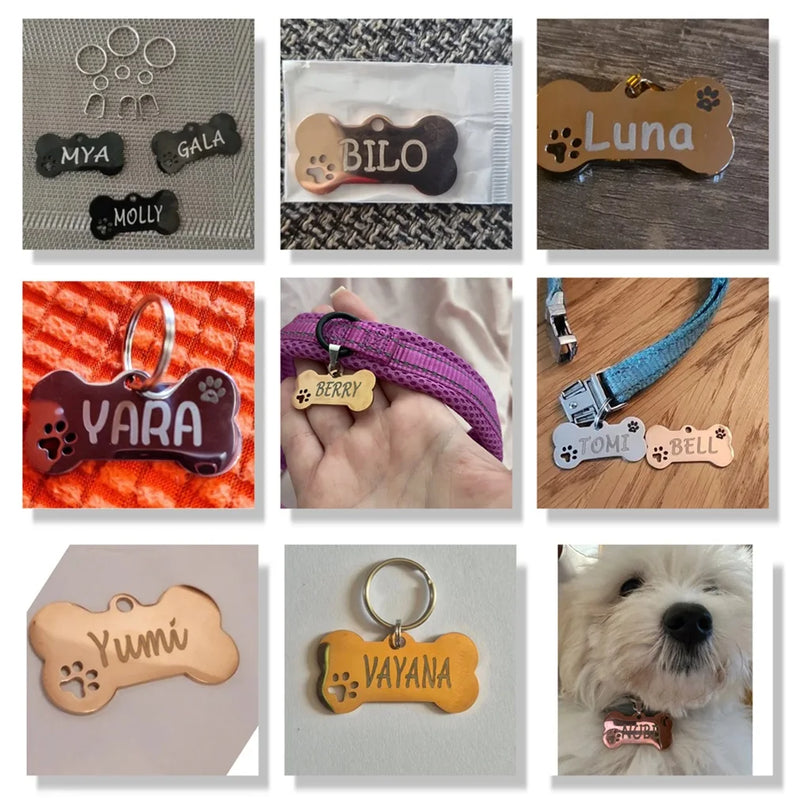 Personalized Stainless Steel Pet ID Tag