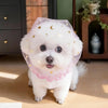 Breathable Star Tulle Dog Muzzle Cover for Outdoor Walks