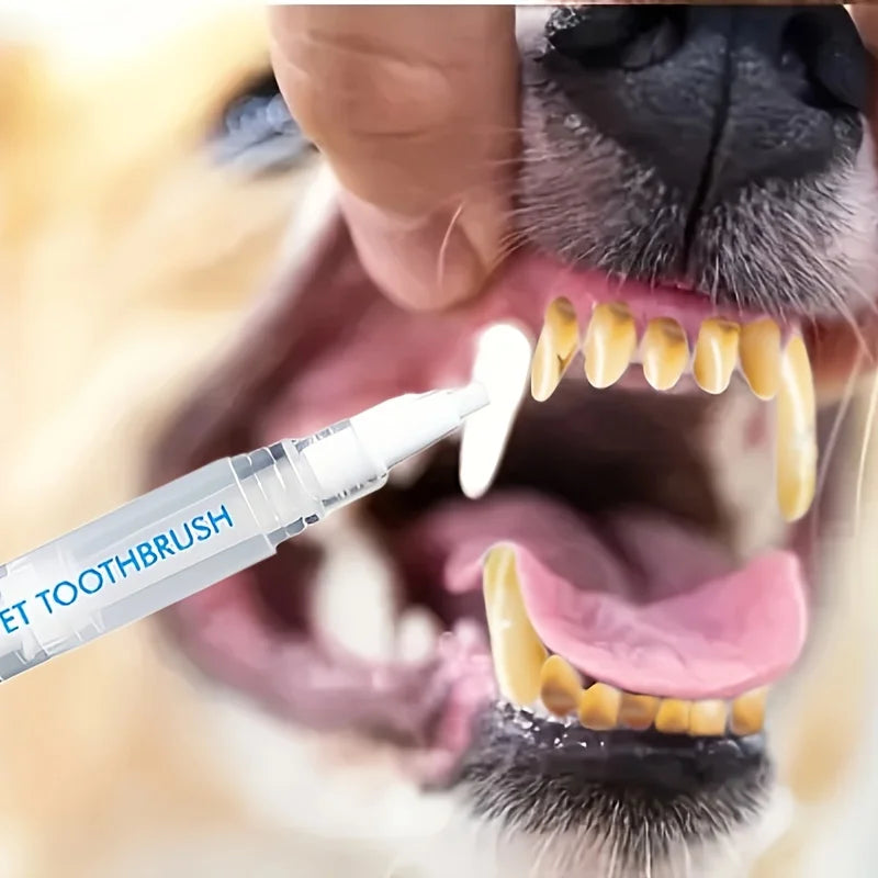 A hand is using a dental cleaning pen on a dog's mouth to remove plaque and tartar.