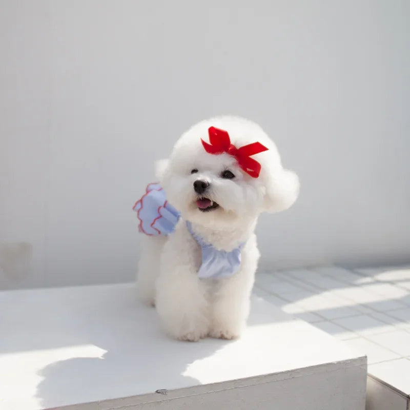 Vestido de Verano Estilo Princesa para Perros Pequeños