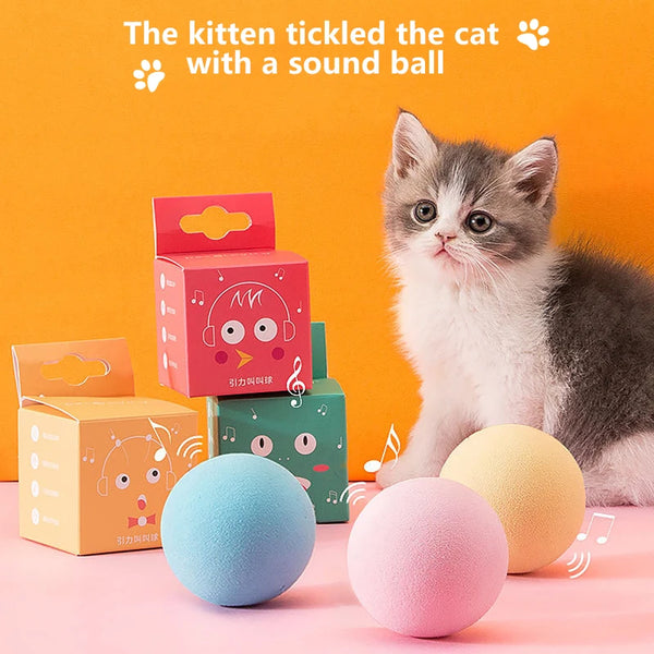 A kitten is shown interacting with a sound ball toy in an orange and pink setting.