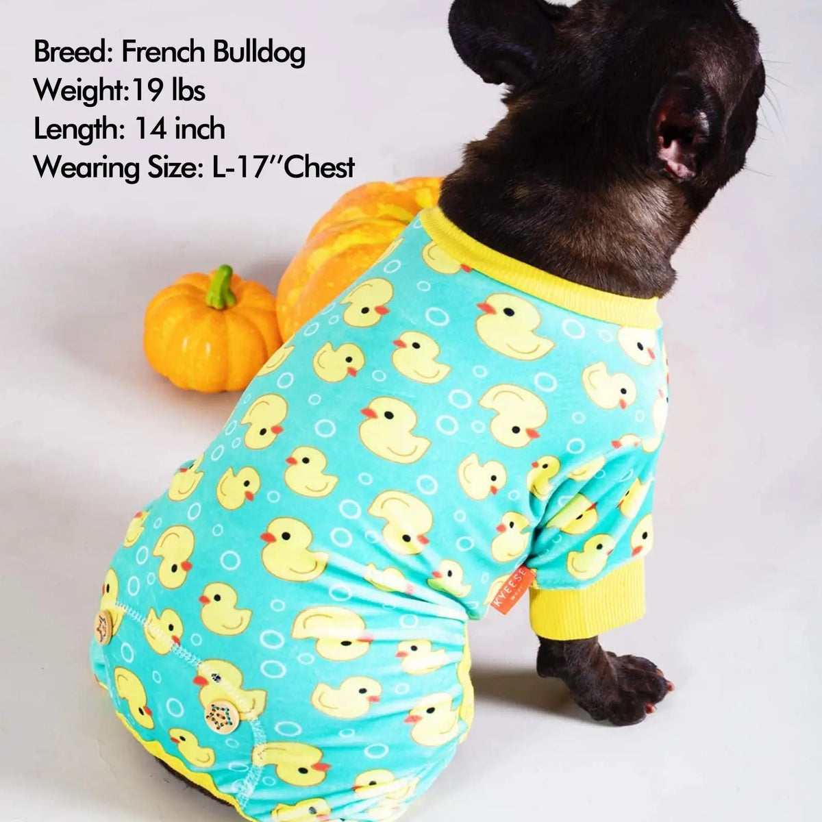 A black dog wearing a bright yellow duck pajama with yellow duck patterns.