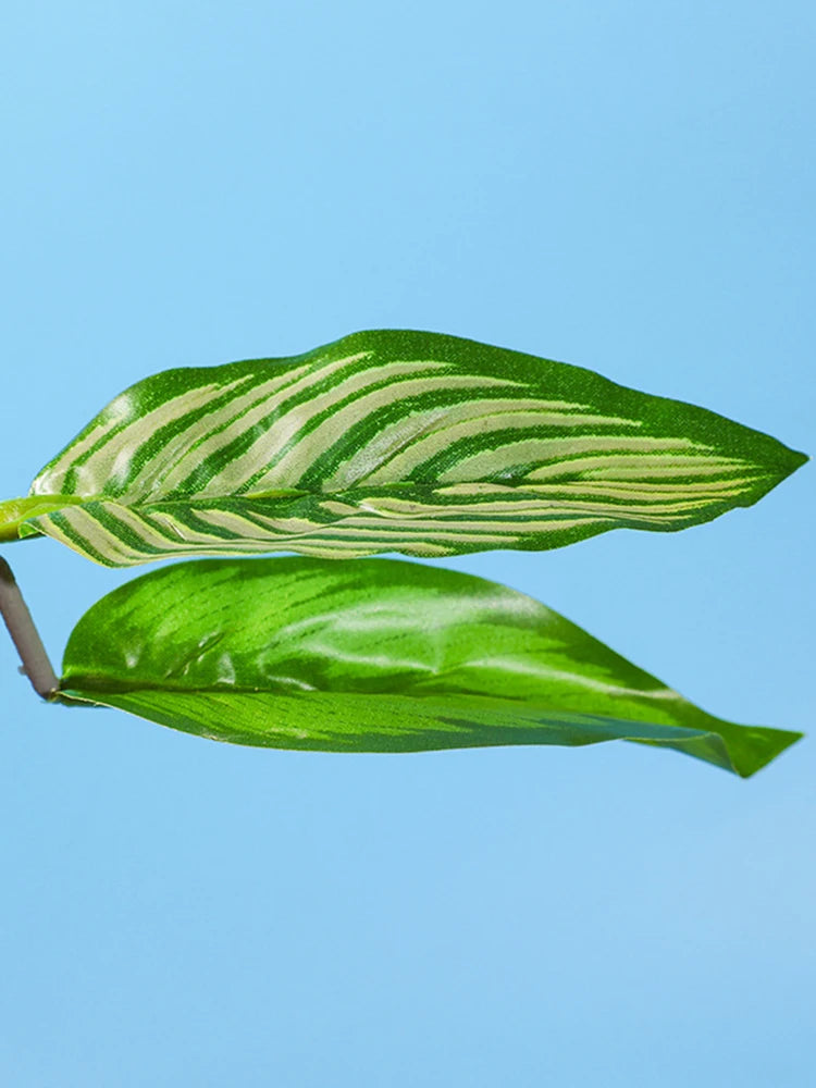 Betta Fish Rest Leaf Aquarium Decoration