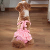 Cute Printed Reusable Dog Diaper Pants for Small Breeds