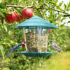 Automatic Bird Feeder with Nut Dispenser for Outdoor Hanging