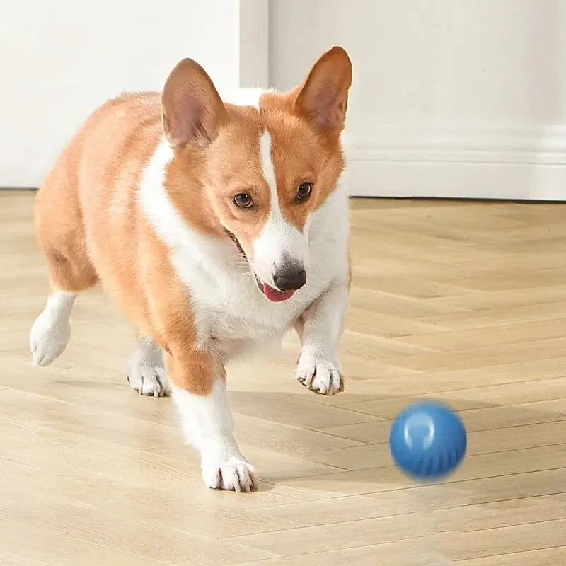 Intelligenter Smart-Ball für Hunde mit zufälliger Bewegung