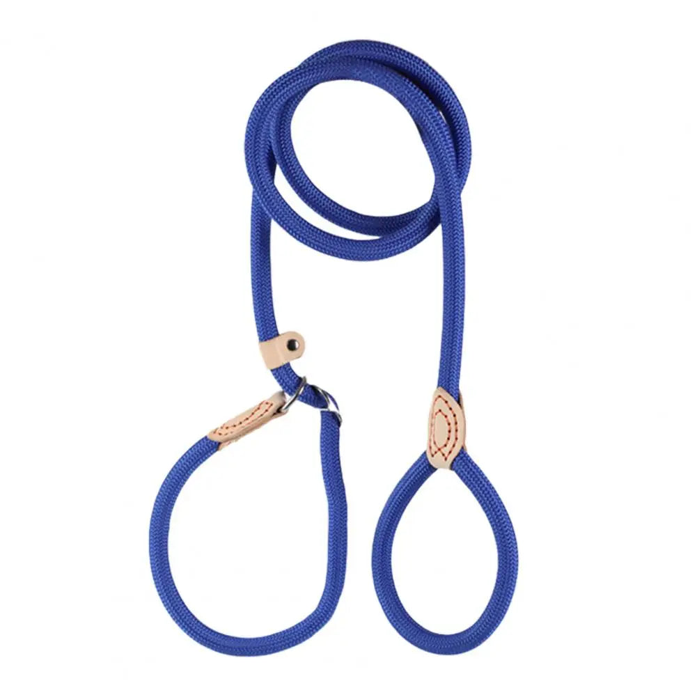A blue heavy duty slip lead dog leash with an adjustable stopper.