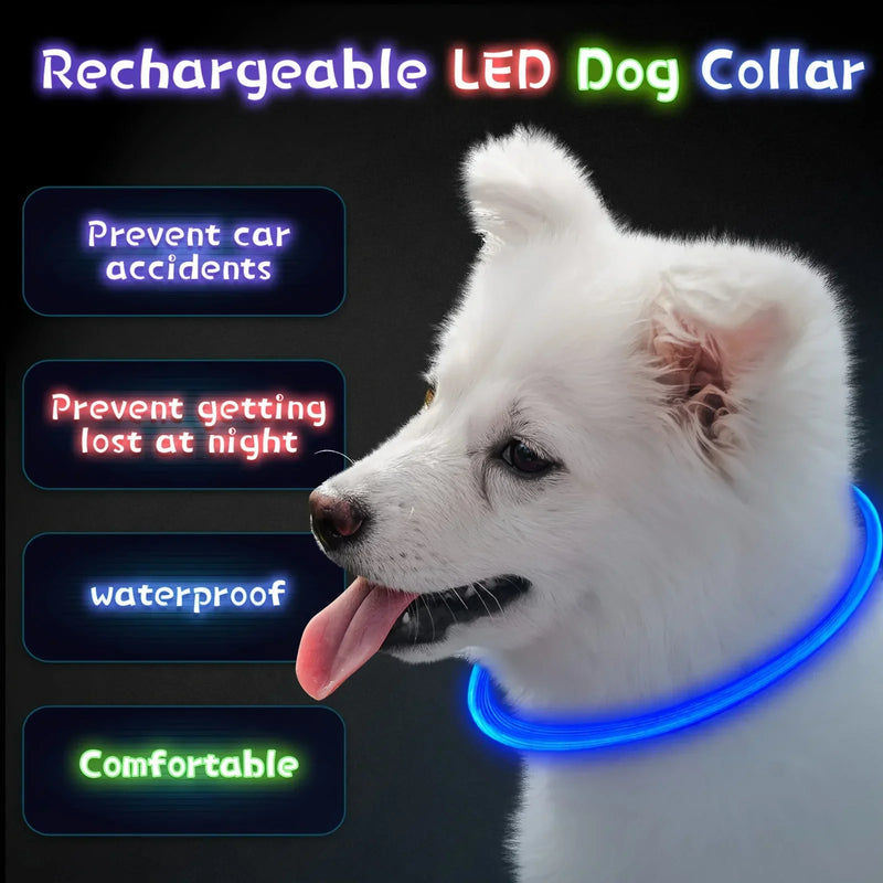 USB-wiederaufladbarer LED-Hundehalsband für mehr Sicherheit bei Nacht
