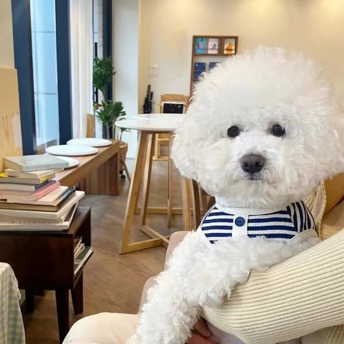 Striped Waffle Knit Dog Tank Top with Button Detail