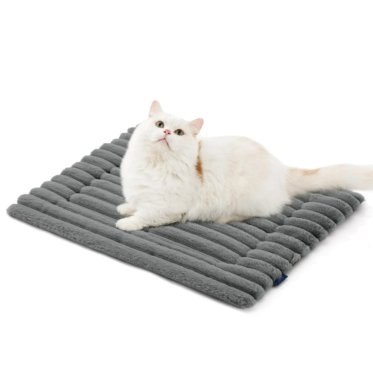 A white cat is lying on a gray self-warming pet mat.